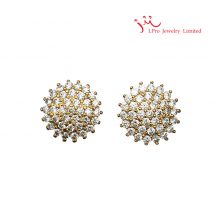 IPRO Earrings_E1118